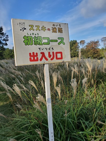 すすきの迷路看板